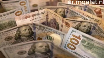 سعر شراء الدولار في البنك المركزي المصري يسجل 52.29 جنيه للعملة الأمريكية